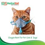 Pet Cat Oxygen Cylinder Rent Service